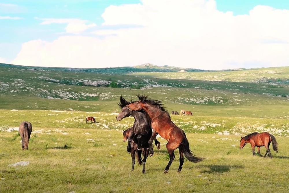 Apartmani Kaic Livno Dış mekan fotoğraf